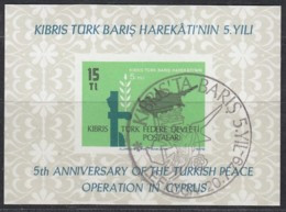 TÜRKISCH ZYPERN  Block 1, Gestempelt, 5. Jahrestag Der Türkischen Intervention Auf Zypern, 1979 - Used Stamps