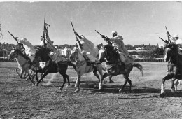 Maroc - Tetuan - Corrida De Polvora - Garcia Cortes - Carte Photo - Carte Postale Ancienne - Tanger