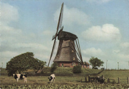 Aalsmeer Molen LD194 - Aalsmeer