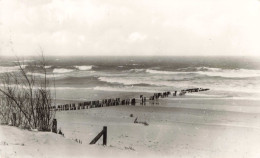 Domburg Noordzeestrand LD199 - Domburg