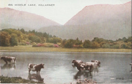 ON MIDDLE LAKE - KILLARNEY - Kilkenny