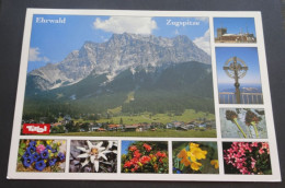 Ehrwald - Blick Zur Zugspitze - TKV Chizzali, Rum/Innsbruck - # 917328 - Ehrwald