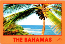 Bahamas Beautiful Beach Scene  - Bahama's