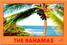 Bahamas Beautiful Beach Scene - Bahamas