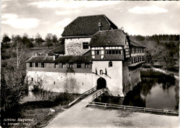 Schloss Hagenwil B. Amriswil (Thg.) (26399) - Amriswil