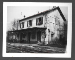 Doussard, Photographie De La Gare En 1974, Format 110 X 86 Mm (A16p14) - Doussard