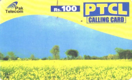 India:Used Phonecard, Pak Telecom, 100 Rs., Landscape - India