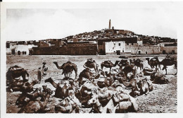 GHARDAIA - Caravane Au Repos - Ghardaia