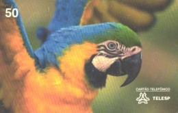 Brasil:Brazil:Used Phonecard, TeleSP, 50 Units, Bird, Parrot, Ara Ararauna - Brasilien