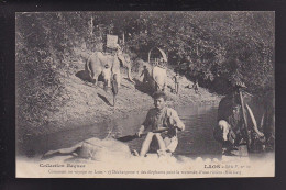 CP LAOS Dechargement Des éléphants Pour La Traversée D'une Riviere (Hin Lat) - Laos