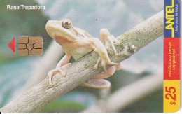 Nº 97 TARJETA DE URUGUAY DE UNA RANA TREPADORA (CHIP ROJO) FROG - Uruguay