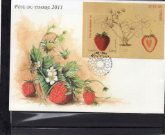 France 2011 Fdc "le Timbre Fête Le Terre" Bloc Le Fraisier Belle Illustration - 2010-2019