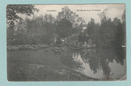 Cappellen : Hortensia Hof, à L'Etang - Hoelen, 4791 - Kapellen