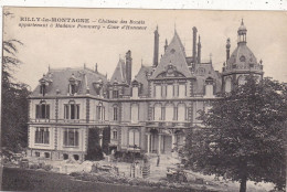 51. RILLY LA MONTAGNE. CPA. CHATEAU DES ROZAIS . COUR D'HONNEUR. - Rilly-la-Montagne