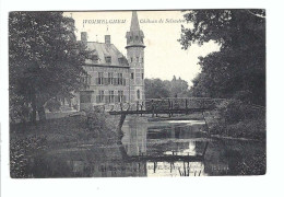 Wommelgem  WOMMELGHEM  Château De Selsaeten - Wommelgem