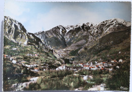 Carte Postale Couleur : 06 : ROQUEBILLIERE : Vue Panoramique De La Vallée, Le Village Et Les Alpes - Roquebilliere