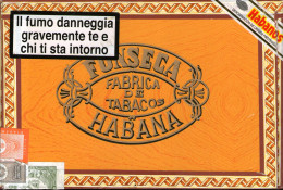 C 307 - Sigari Fonseca Habanos - Caves à Cigares Vides