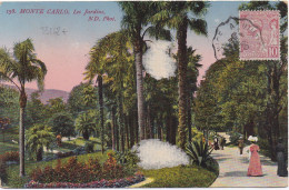 33162# CARTE POSTALE MONTE CARLO MONACO LES JARDINS Obl NICE A VINTIMILLE 1903 CONVOYEUR LIGNE - Cartas & Documentos