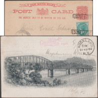 NSW 1902. Entier Illustré Oblitéré Loose Letter. D'un Bateau De Sydney à Auckland, Pour Gross Lichterfelde. Pont  RRRR - Storia Postale