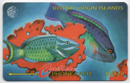 British Virgin Islands - Fish & Coral - 25CBVB - Islas Virgenes