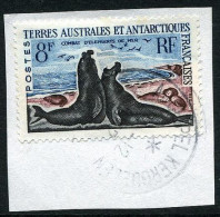 FSAT 1962-72 Elephant Seals Fine Used On Piece - Usados
