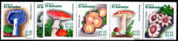 El Salvador 2001 Fungi Unmounted Mint. - El Salvador