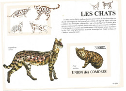 Chat -bloc Feuillet - Neuf - Chats Domestiques- Union Des Comores - Big Cats (cats Of Prey)