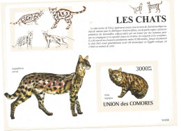 Chat -bloc Feuillet - Neuf - Chats Domestiques- Union Des Comores - Roofkatten