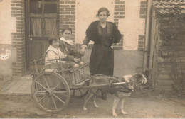 Carte Photo * France * Attelage à Chien , Voiture à Chiens * à Situer ! - Dogs