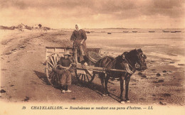 Chatelaillon * Boucheleuses Se Rendant Aux Parcs D'huitres * Attelage Cheval Pêche Ostréiculture - Châtelaillon-Plage