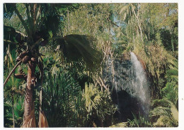CPSM / CPM 10.5 X 15 SEYCHELLES (2) PRASLIN Coco-de-mer Palm In The Vallée De Mai  Palmier Cascade - Seychelles