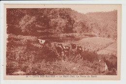 LE RAYOL - VAR - LA FERME DU RAYOL - VACHES - Rayol-Canadel-sur-Mer