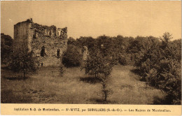 CPA Survilliers Les Ruines De Montmelian FRANCE (1307818) - Survilliers