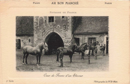 AGRICULTURE - S18466 - Paysage De France - Cour De Ferme D'un Eleveur - Chevaux - Farms