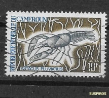 CAMERUN 1968 Fish And Crustaceans    Nile Tilapia (Tilapia Nilotica) USED - Cameroun (1960-...)