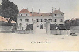 CPA Château De Coppet - Coppet