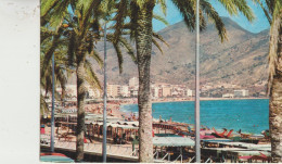 Benidorm  (Alicante)  Vue Generale Sur La Plage - Peñón De Vélez De La Gomera