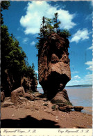 Canada New Brunswick Hopewell Cape "Flower Pot" Rocks 1985 - Other & Unclassified