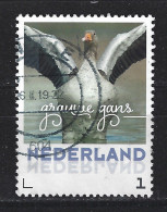 Netherlands Nederland Pays Bas Holanda Niederlande Used ; Grauwe Gans Goose Oie Ganso Vogel Bird Ave Oiseau - Geese