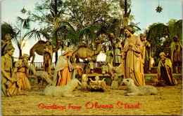 California Los Angeles Greetings From Olvera Street Hand Carved Figures Depicting Birth Of Christ - Los Angeles