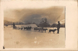 Non Localisé      88         Attelage De Chiens De Traineau Dans La Neige - Carte Photo -     (voir Scan) - Andere & Zonder Classificatie