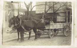 Aaa Carte Photo A Localiser Attelage  De 2 Chevaux  - A Identificar