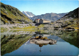 (4 R 43) Switzerland Lac Du Grand Saint Bernard (posted To France 1988) Hospice - Santé