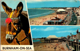 England Burnham On Sea Multi View Beach Scenes And Donkey  - Buckinghamshire