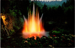 Canada Victoria Butchart Gardens The Fountain At Night - Victoria