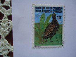 CAMEROON  USED  STAMPS  BIRDS BIRDS - Cameroun (1960-...)