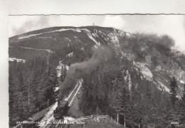 D508) ZAHNRADBAHN Auf Den SCHNEEBERG - ZUG Dampflok ALT ! - Schneeberggebiet