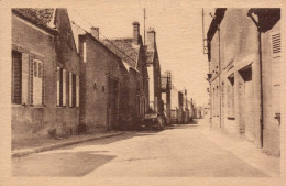 89 , Cpa   CHAMPIGNY , Rue Principale  (01823.M.23) - Champigny