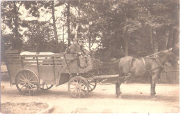 FORST Lausitz Rindertransport Mit Spezialanhänger 2 Spännig Original Private Fotokarte Schöner Stempel 4.9.1927 Fast TOP - Forst