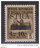 ISTRIA - OCCUPAZIONE  JUGOSLAVA:  1945  SOPRASTAMPATO  -  £. 10/10 C./5 C. BRUNO  L. -  SASS. 39 - Occ. Yougoslave: Istria